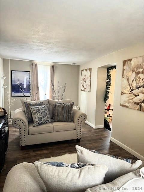 living room with dark hardwood / wood-style floors