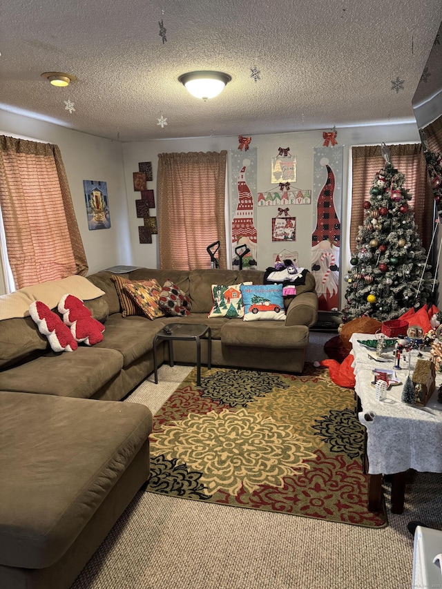 carpeted living area with a textured ceiling