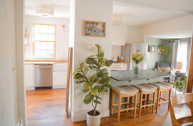 interior space featuring light hardwood / wood-style floors and a baseboard radiator