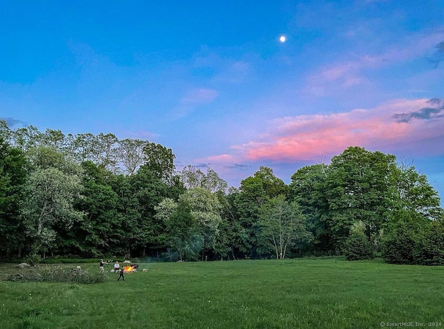 view of yard at dusk