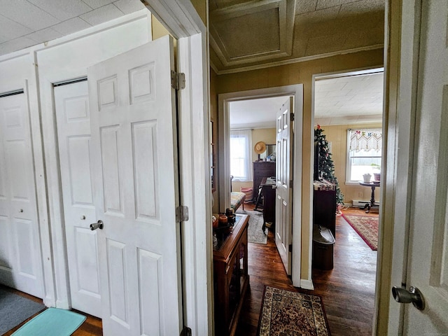 hall featuring dark wood finished floors and crown molding