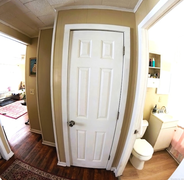 hallway featuring dark wood-type flooring and crown molding