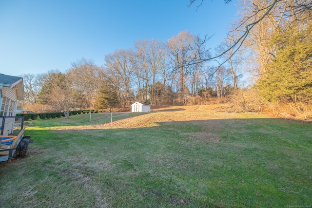 view of yard featuring a storage unit