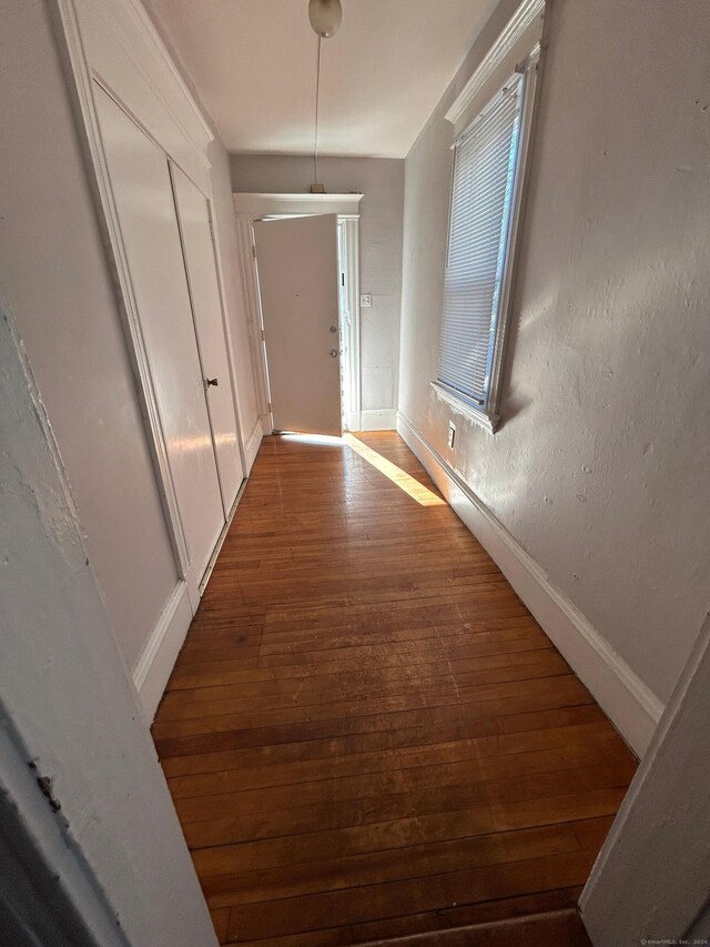 corridor with dark hardwood / wood-style floors