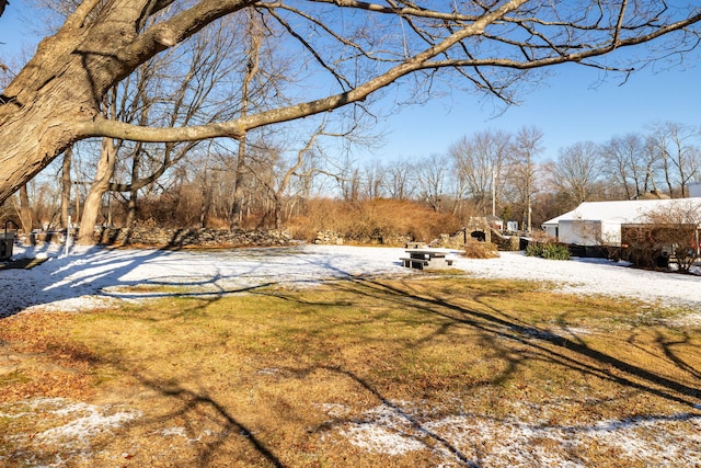 view of yard layered in snow