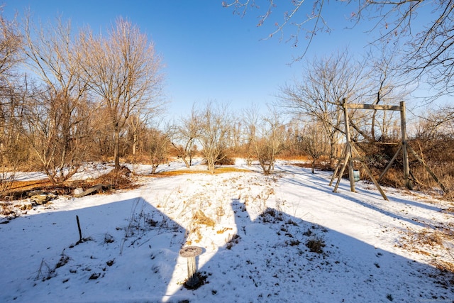 view of yard covered in snow