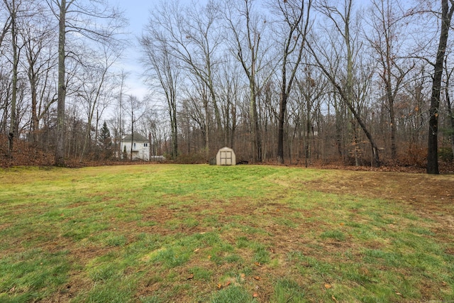 view of yard featuring a shed