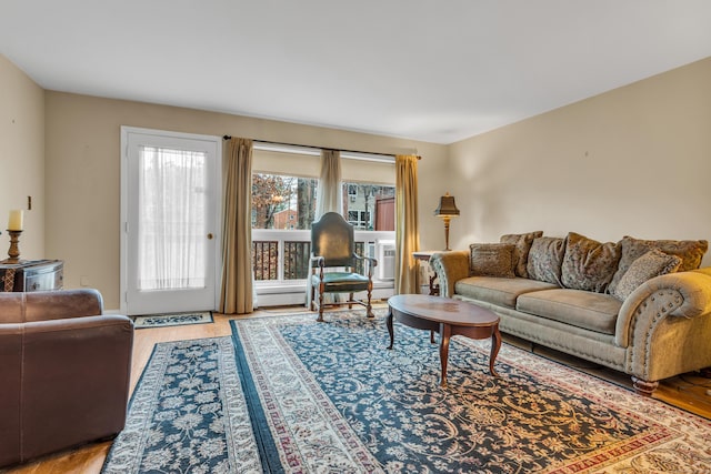 living room featuring hardwood / wood-style flooring