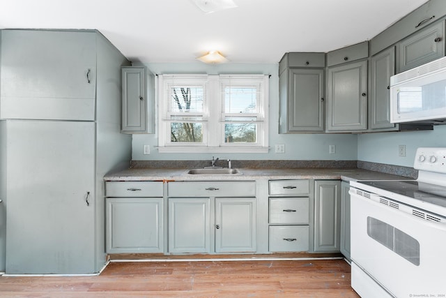 kitchen with white appliances, light hardwood / wood-style flooring, gray cabinetry, and sink