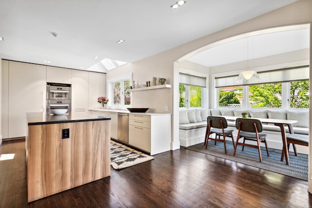 kitchen featuring stainless steel appliances, plenty of natural light, and dark wood-type flooring