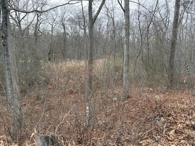 Hog Hill Rd, East Hampton CT, 06424 land for sale