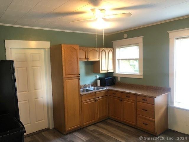 kitchen featuring black appliances, sink, ceiling fan, ornamental molding, and dark hardwood / wood-style flooring