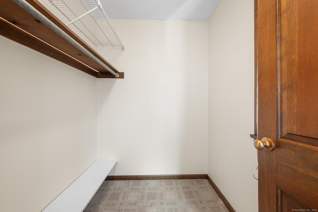 walk in closet featuring light carpet