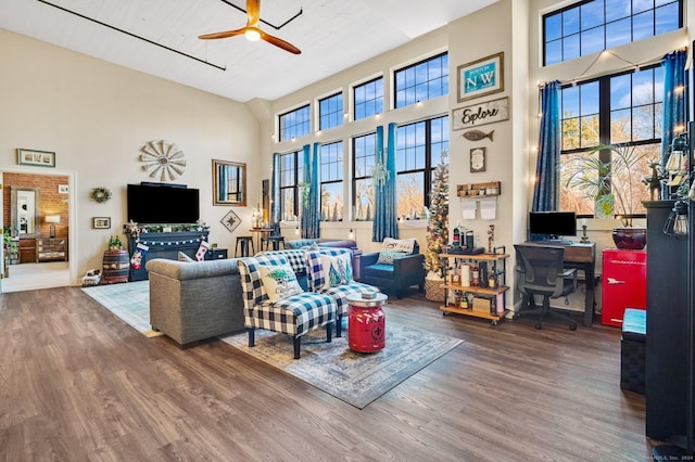 living room featuring a high ceiling, ceiling fan, and wood-type flooring