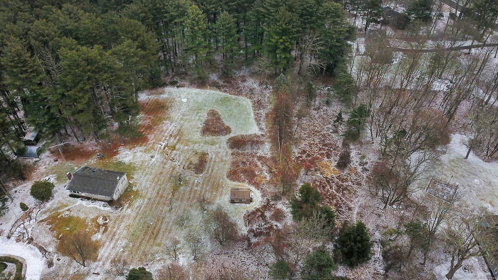 51 Nedwied Rd, Tolland, CT 06084 - photo 2