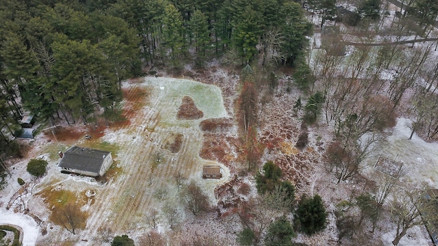 51 Nedwied Rd, Tolland, CT 06084 - photo 2