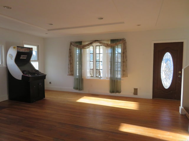 entryway featuring a raised ceiling, wood finished floors, and a wealth of natural light