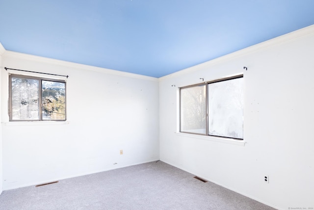 empty room with carpet and crown molding