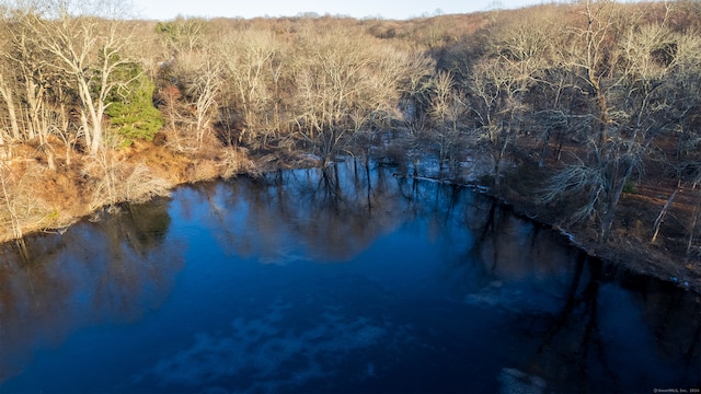 85-95 Old Easton Tpke, Weston, CT 06883 - photo 5
