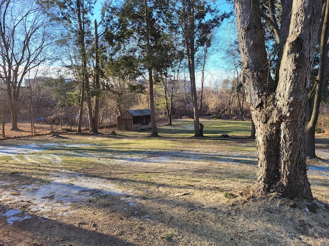 view of yard with a storage shed