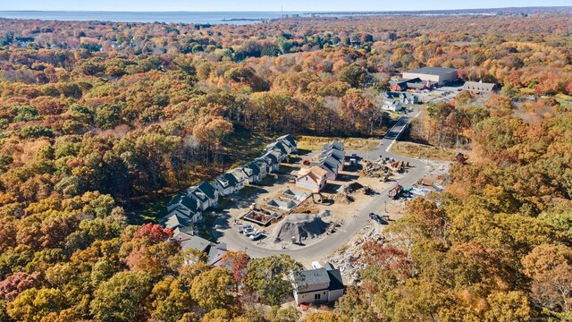 drone / aerial view