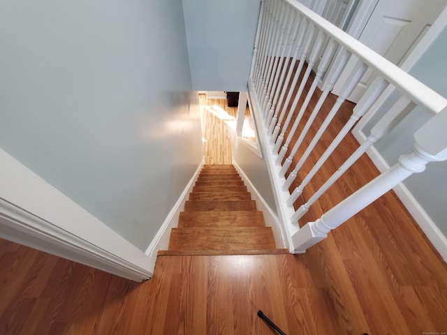 staircase featuring hardwood / wood-style floors