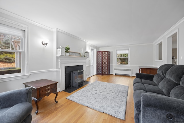 living room featuring hardwood / wood-style flooring, a wood stove, ornamental molding, and radiator