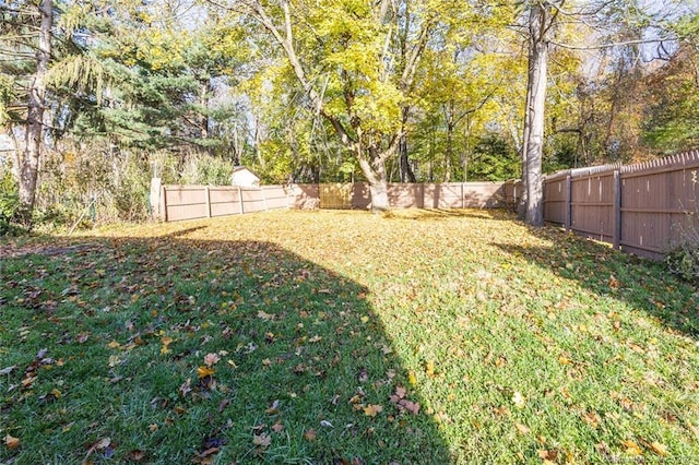 view of yard featuring a fenced backyard