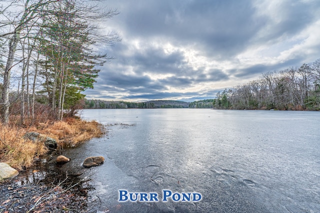 property view of water