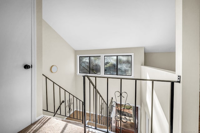 stairway featuring carpet floors