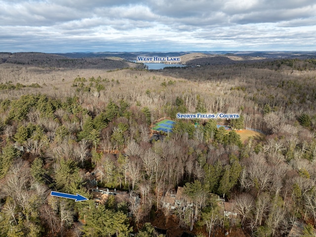 drone / aerial view featuring a mountain view