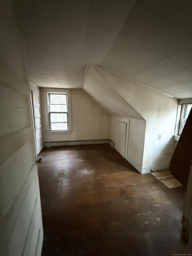 additional living space with a baseboard radiator and vaulted ceiling