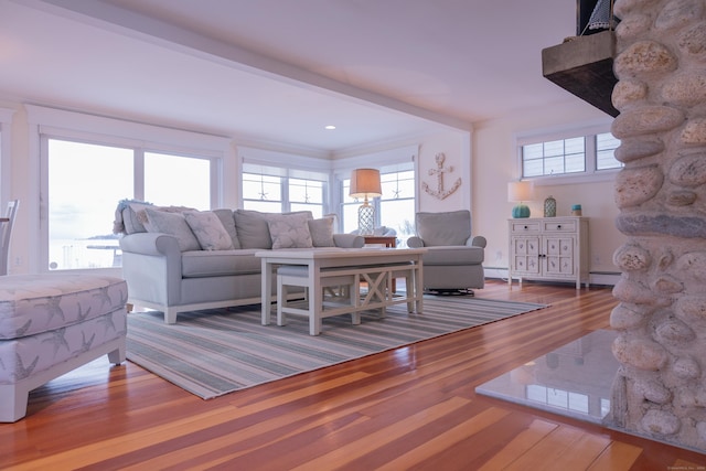 living room featuring hardwood / wood-style floors and a baseboard heating unit