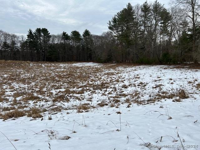 384 Killingly Rd, Pomfret, CT 06259 - photo 6