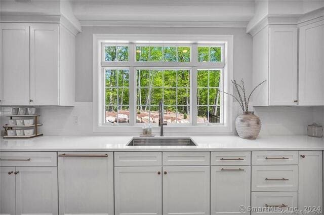 kitchen featuring sink, white cabinetry, and backsplash