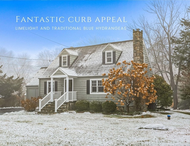 view of cape cod-style house