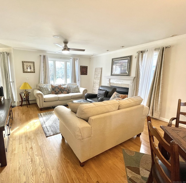 living room featuring crown molding, light hardwood / wood-style flooring, a baseboard radiator, and ceiling fan