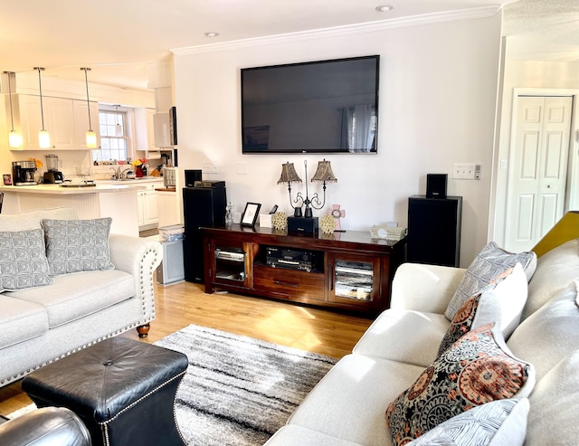 living room with ornamental molding and light hardwood / wood-style flooring