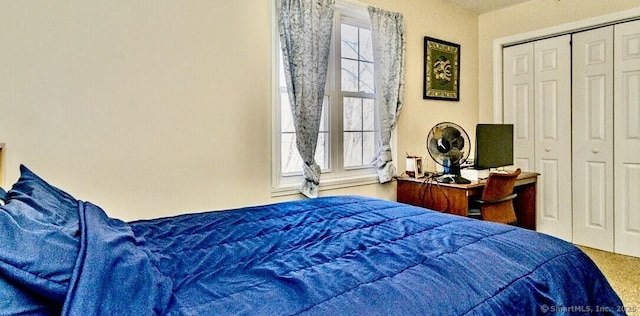 bedroom featuring multiple windows and a closet