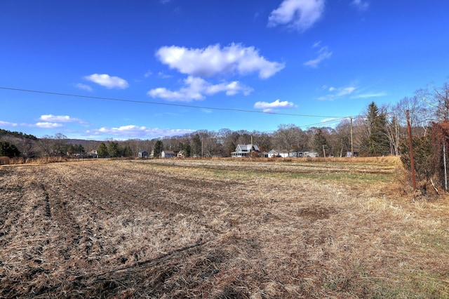 view of yard with a rural view