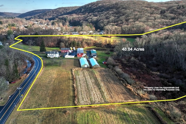 birds eye view of property featuring a mountain view