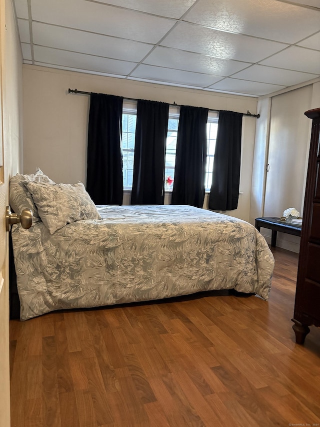 bedroom featuring multiple windows, a paneled ceiling, and hardwood / wood-style floors