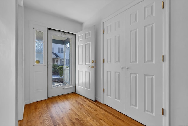 entrance foyer featuring light hardwood / wood-style flooring