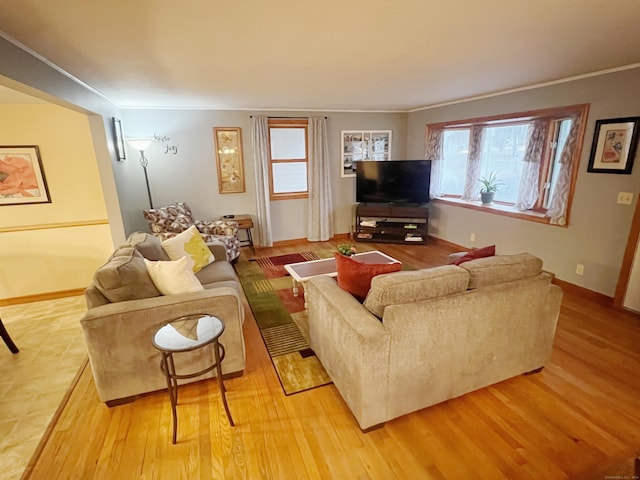 living room featuring light hardwood / wood-style floors and crown molding