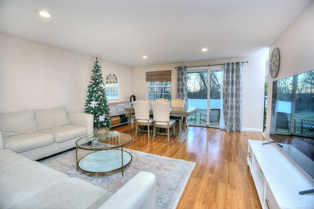 living room featuring light wood-type flooring