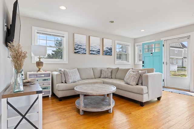 living room featuring wood-type flooring