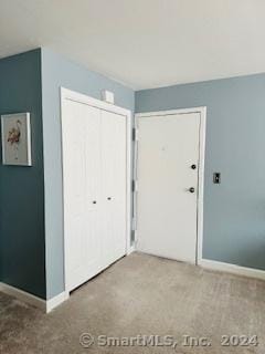 interior space featuring carpet floors and a closet