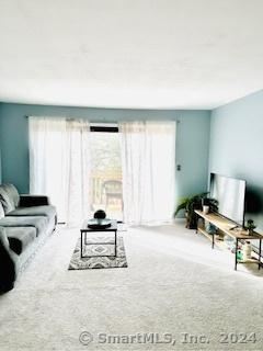 carpeted living room with a wealth of natural light