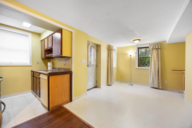 kitchen featuring stainless steel dishwasher, light hardwood / wood-style floors, and sink