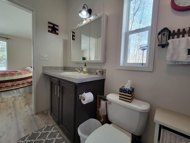 bathroom featuring toilet, wood finished floors, and vanity